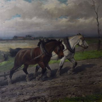 Afbeeldingen van VAN SEVERDONCK JOSEPH