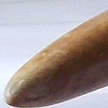 Picture of IVORY TUSK