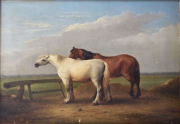 Afbeeldingen van VAN SEVERDONCK  FR.