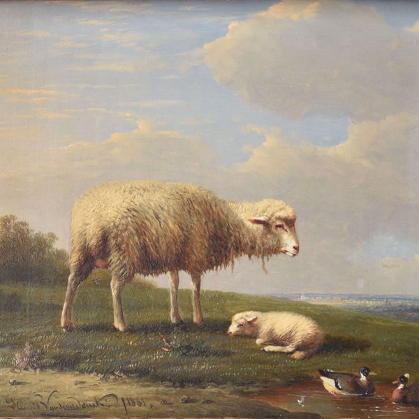 Afbeelding van VAN SEVERDONCK  FRANCOIS