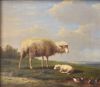 Afbeelding van VAN SEVERDONCK  FRANCOIS