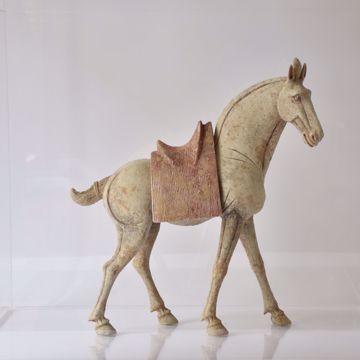 Image de CHEVAL