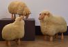 Picture of THREE SHEEP