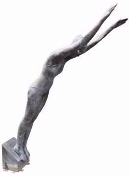Afbeeldingen van DE VOS VEERLE