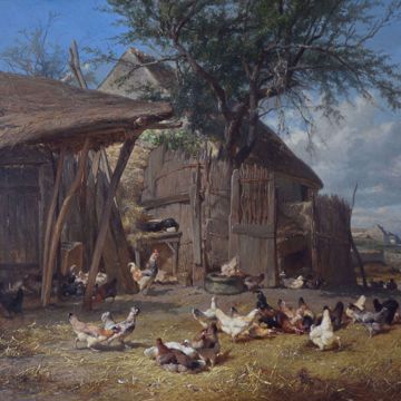 Afbeeldingen van LEMMENS E.