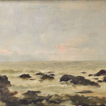 Afbeeldingen van VAN RYSSELBERGHE THEO