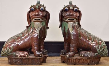 Afbeeldingen van PAAR FO-HONDEN