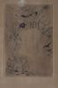 Image sur ROPS FELICIEN