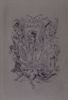 Image sur ROPS FELICIEN