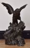 Picture of BIRD OF PREY