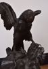 Picture of BIRD OF PREY