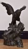 Picture of BIRD OF PREY