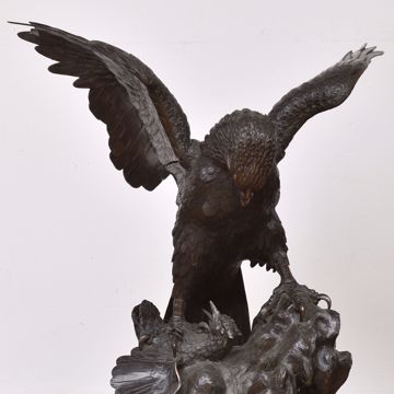 Picture of BIRD OF PREY