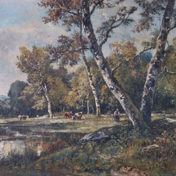 Afbeeldingen van DIAZ