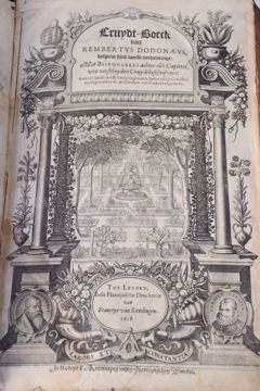 Afbeeldingen van DODOENS