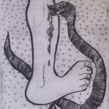 Afbeeldingen van BERVOETS F.