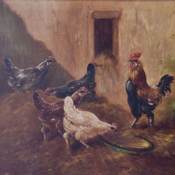 Picture of SCHOUTEN P.