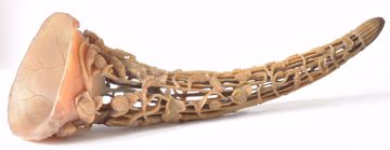 Afbeeldingen van LIBATION HORN