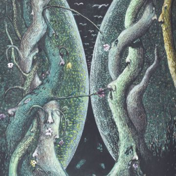 Afbeeldingen van VAN AKELYEN R.