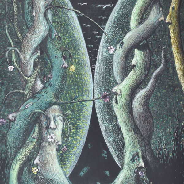 Picture of VAN AKELYEN R.