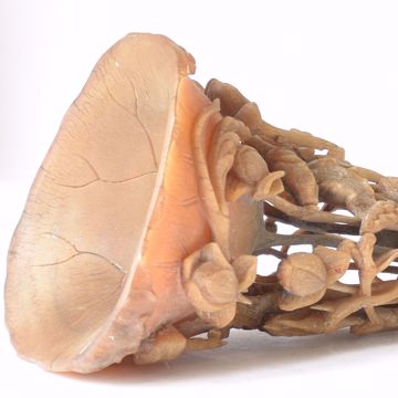 Afbeeldingen van LIBATION HORN