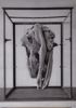 Image sur DE BRUYCKERE BERLINDE