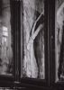 Image sur DE BRUYCKERE BERLINDE