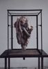 Image sur DE BRUYCKERE BERLINDE