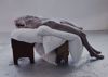 Image sur DE BRUYCKERE BERLINDE