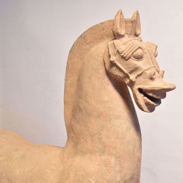 Image de GRAND CHEVAL