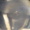 Image sur PAIRE DE SETS HUILE-VINAIGRE