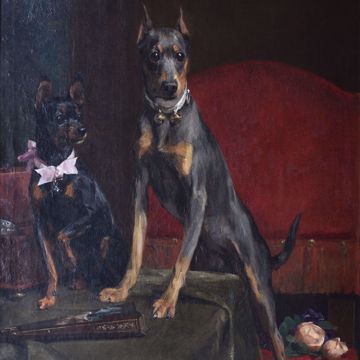 Afbeeldingen van VAN DEN EYCKEN CH.