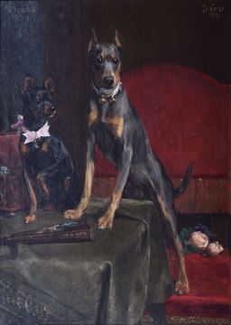 Image de VAN DEN EYCKEN CH.