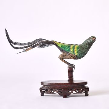 Picture of BIRD