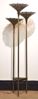Picture of BRASS PAPYRUS FLOOR LAMP