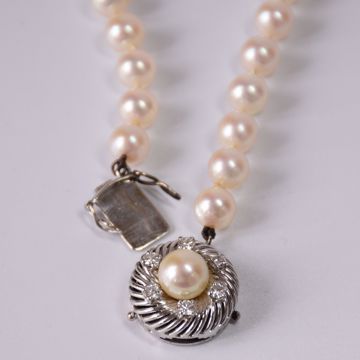 Image de COLLIER DE PERLES AVEC FERMOIR EN OR BLANC