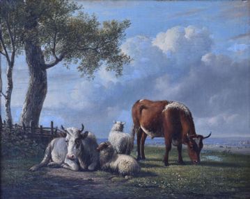 Image de VAN RAVENZWAAY JAN