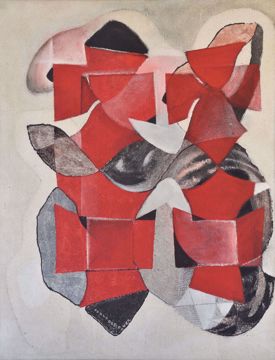 Afbeeldingen van DE ROOVER CARLO