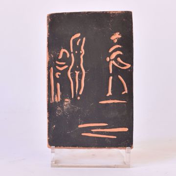 Afbeeldingen van PICASSO