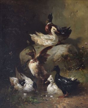 Afbeeldingen van SCHOUTEN H.