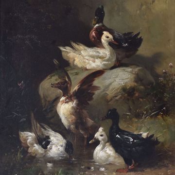 Afbeeldingen van SCHOUTEN H.