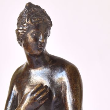 Afbeeldingen van VENUS PUDICA