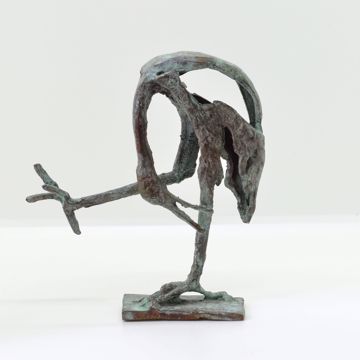 Afbeeldingen van DESMARETS JAN
