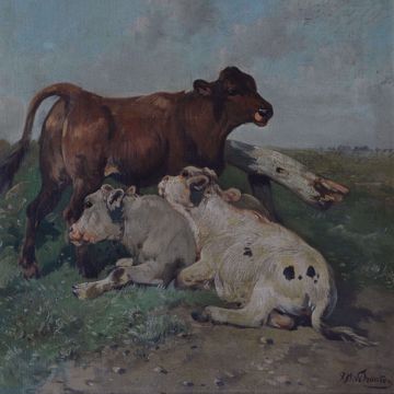 Afbeeldingen van SCHOUTEN H.